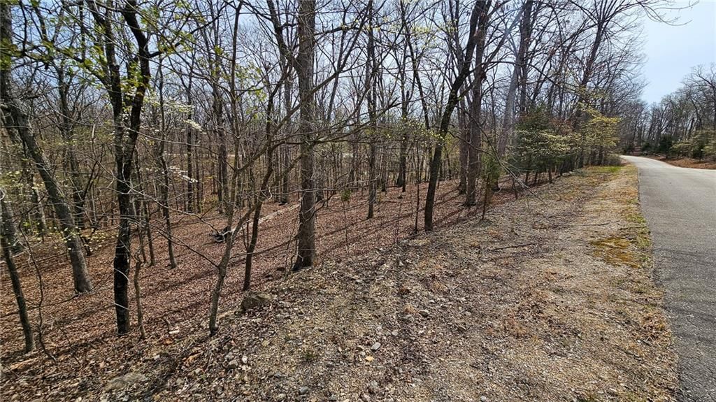 Lot #362 Lake Drive — photo 3