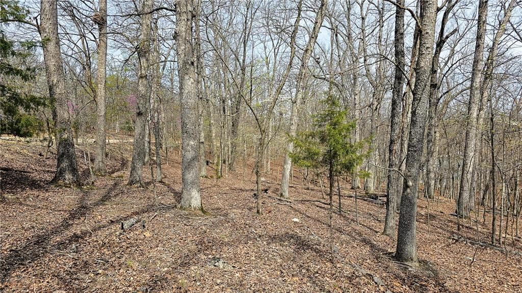 Lot #362 Lake Drive — photo 4