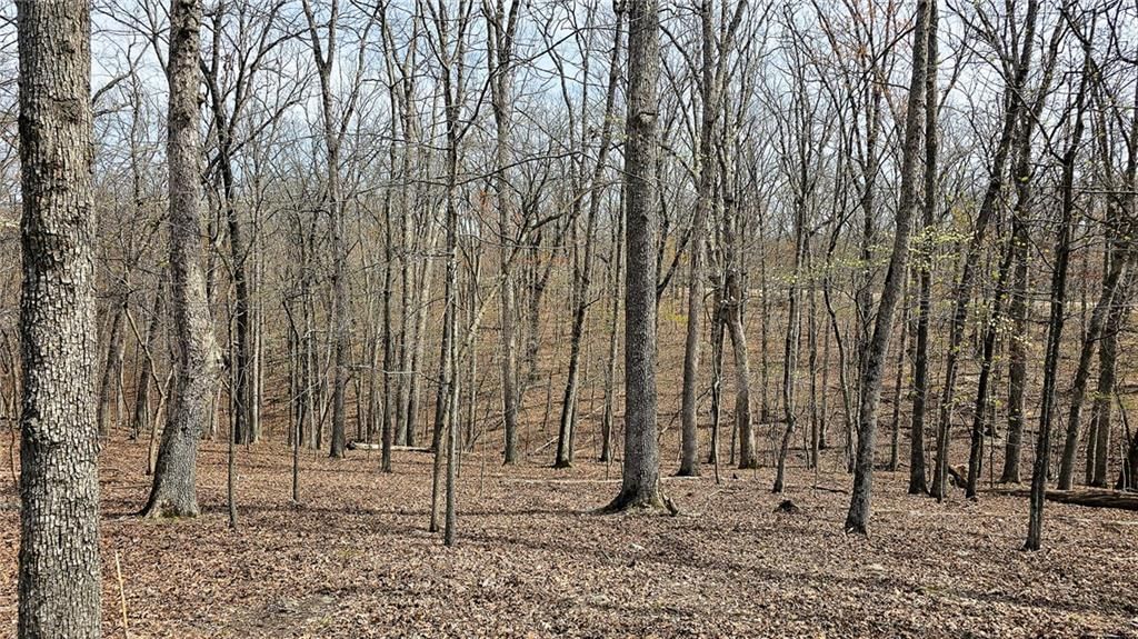 Lot #362 Lake Drive — photo 5