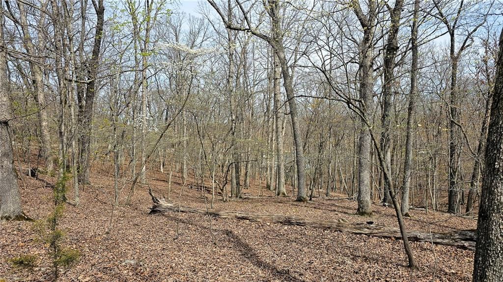 Lot #362 Lake Drive — photo 6