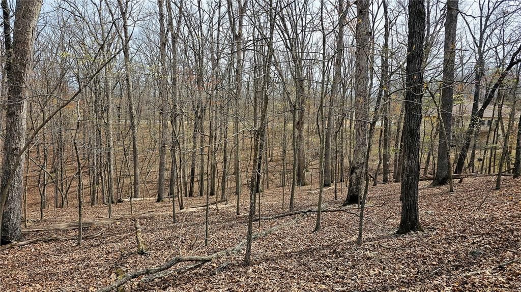 Lot #362 Lake Drive — photo 7