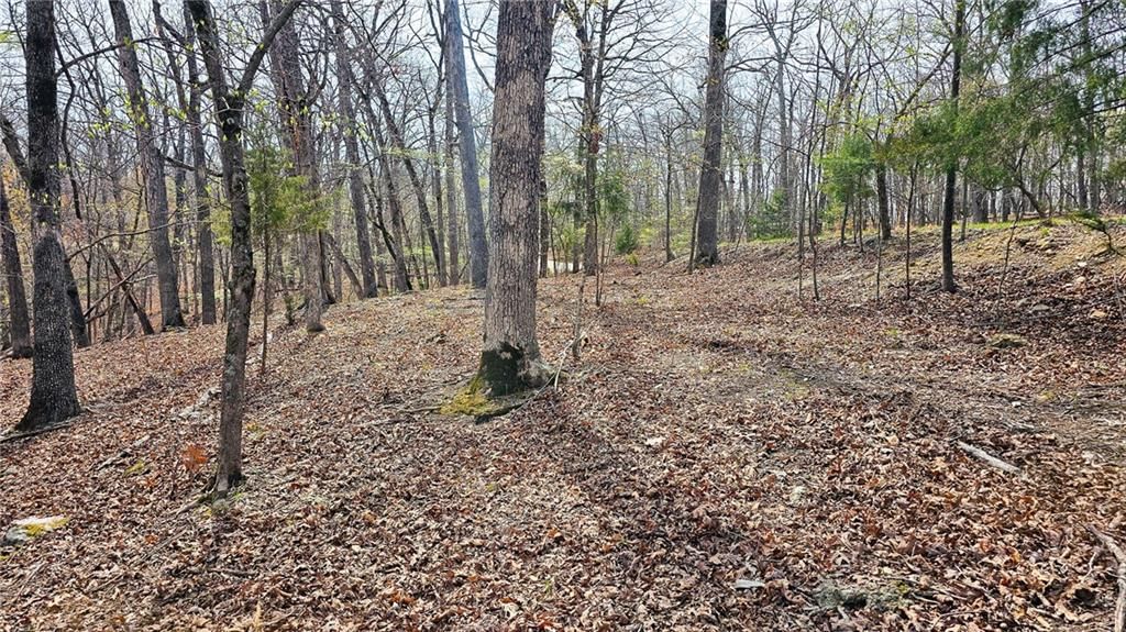 Lot #362 Lake Drive — photo 8