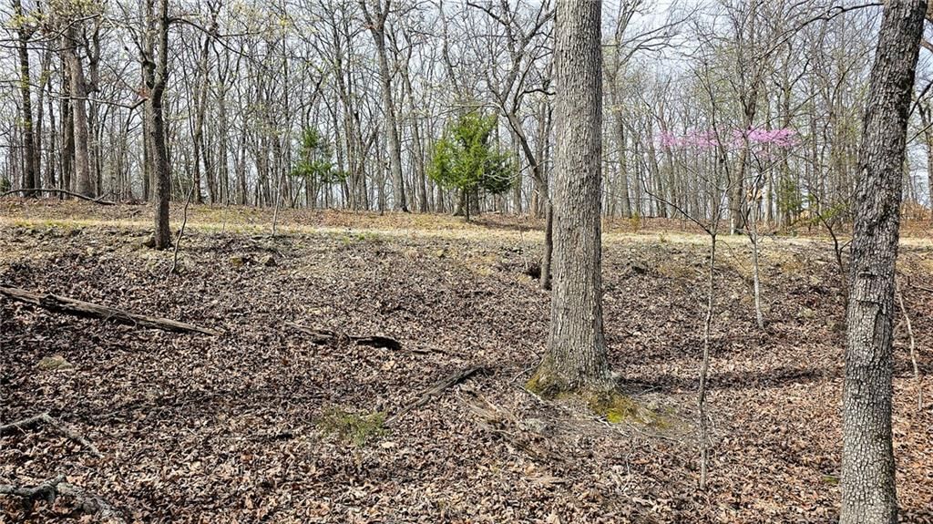 Lot #362 Lake Drive — photo 9