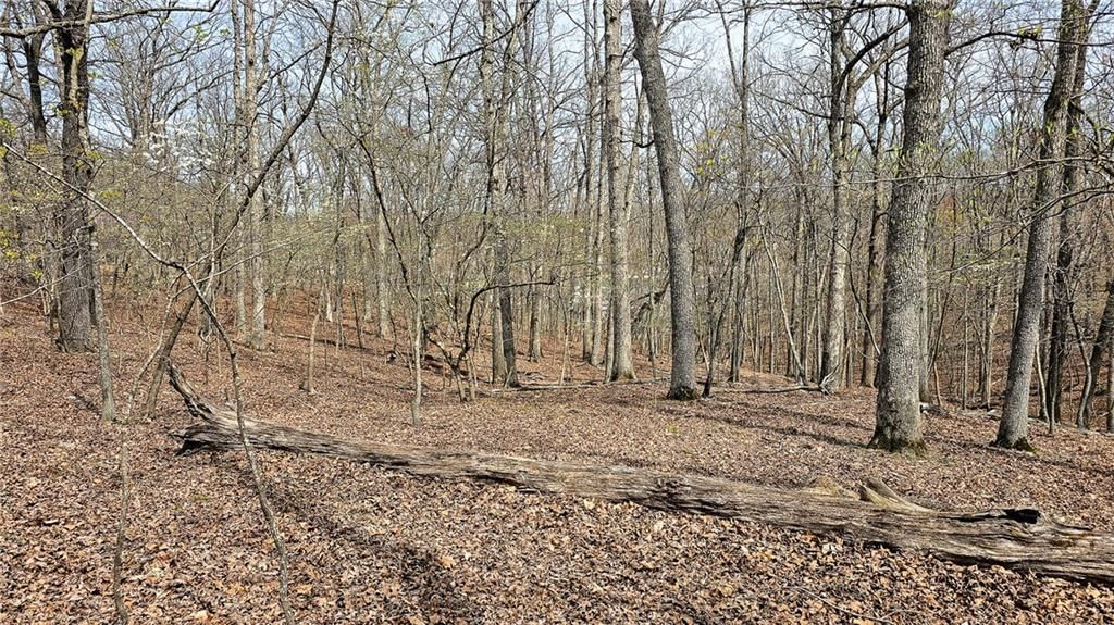 Lot #362 Lake Drive — photo 10