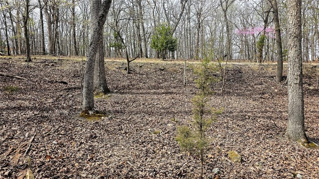 Lot #362 Lake Drive — photo 11