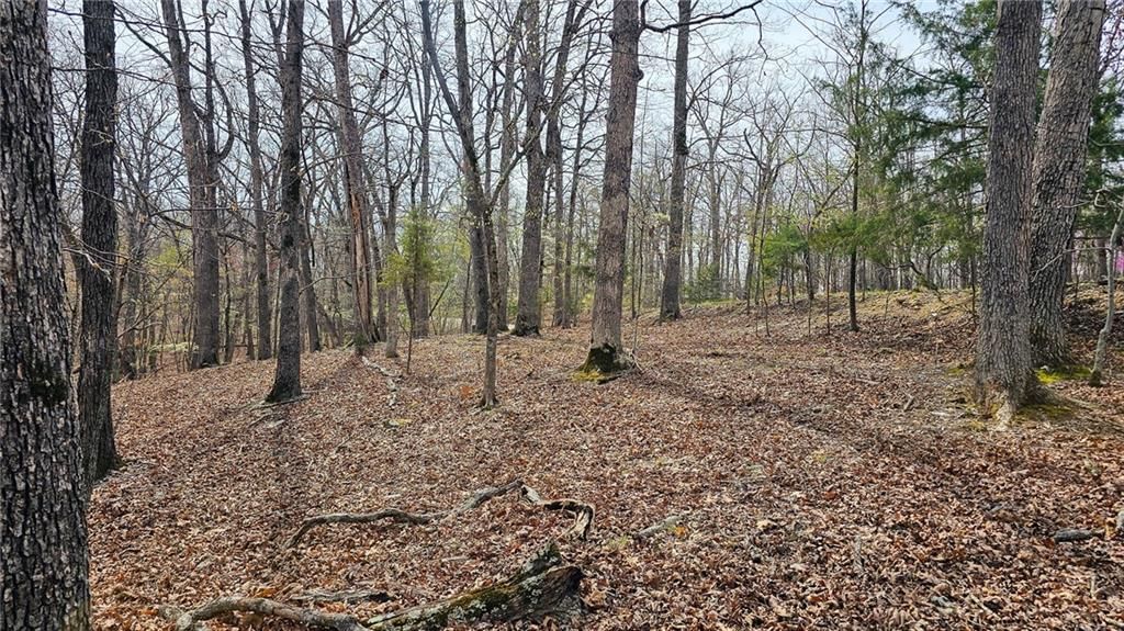 Lot #362 Lake Drive — photo 12