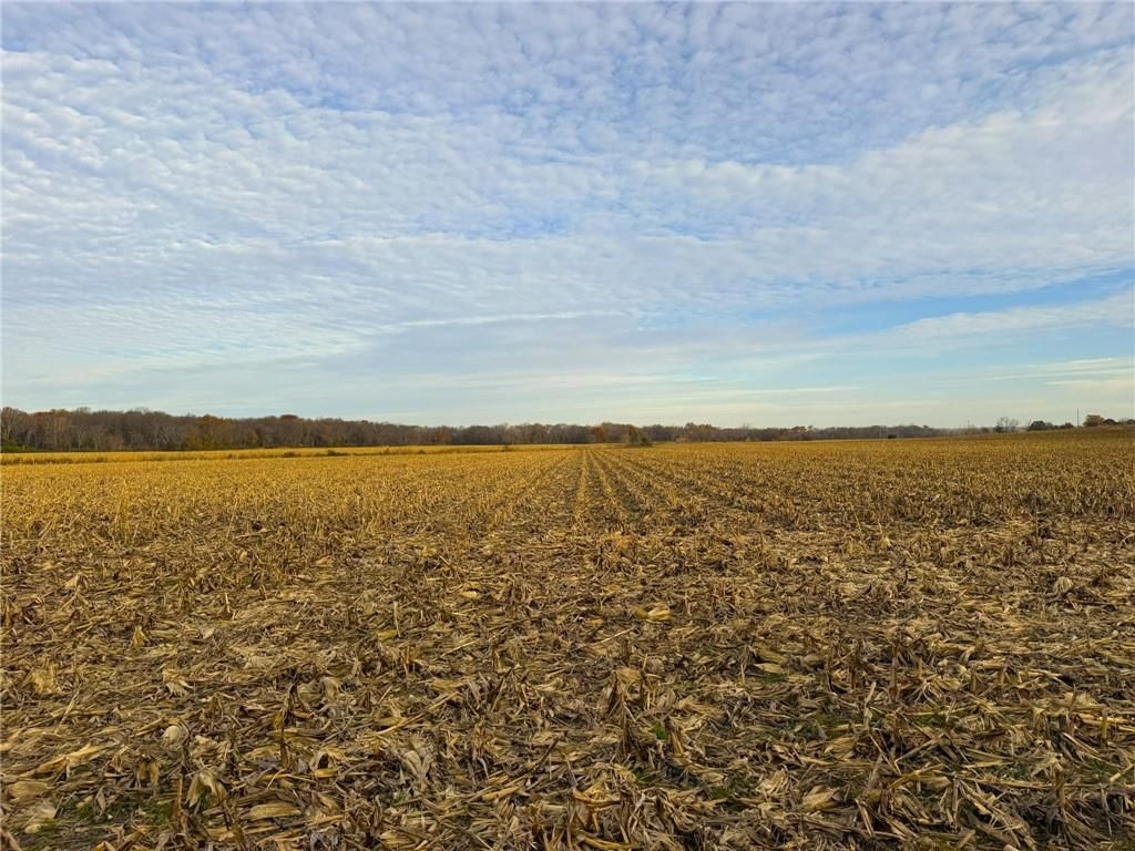 0000 E 1135th Road — photo 14
