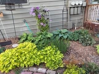 4215 Wimbledon Drive — photo 22