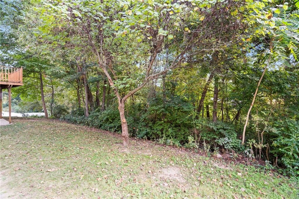 1024 Grace Lane — photo 41
