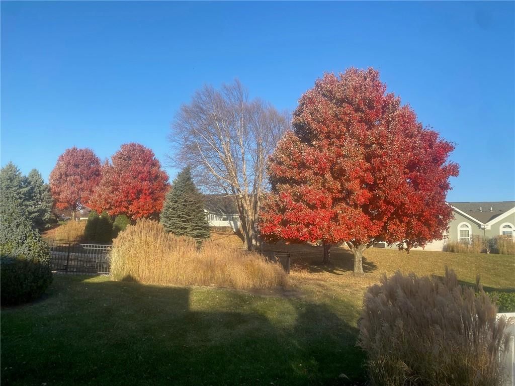 7135 Meadow View Street — photo 37