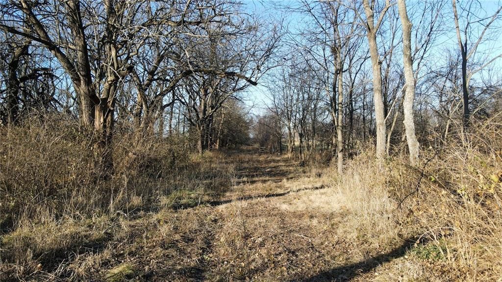 South School Road — photo 10