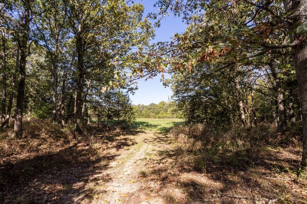 0000 Tract 1 Farm 1140 Road — photo 8