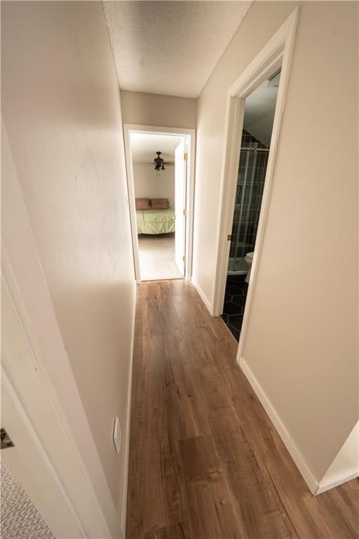 12211 Holmes Lane — photo 14
