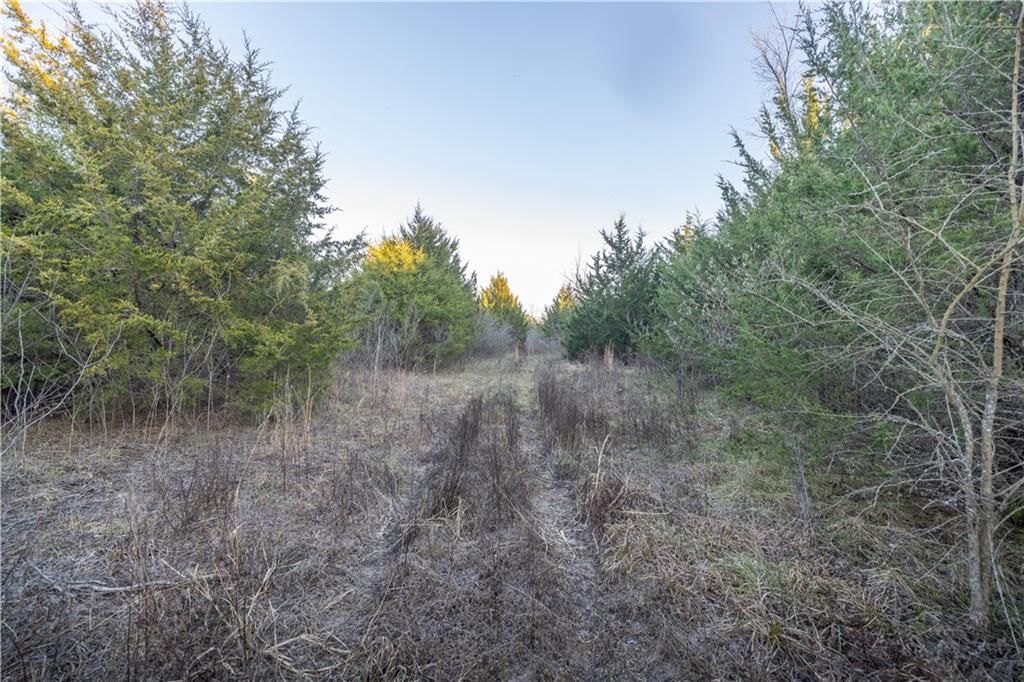 00000 Osawatomie Road — photo 18