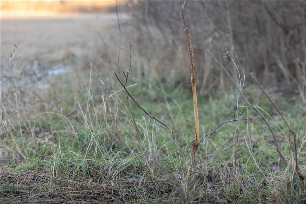 00000 Osawatomie Road — photo 20