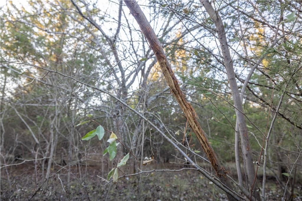 00000 Osawatomie Road — photo 21