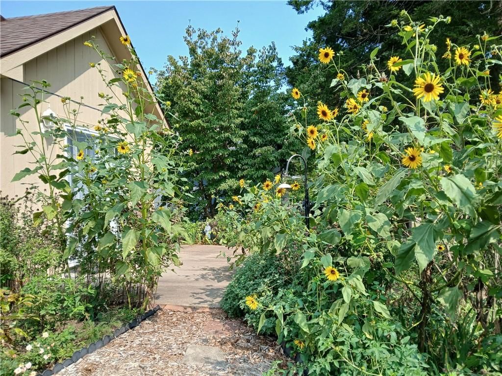 1105 Chapel Street — photo 34