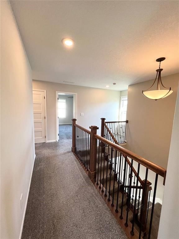 16485 Blair Street — photo 29