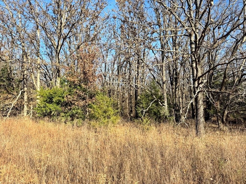 TBD E 1550 & S 425 Road — photo 17