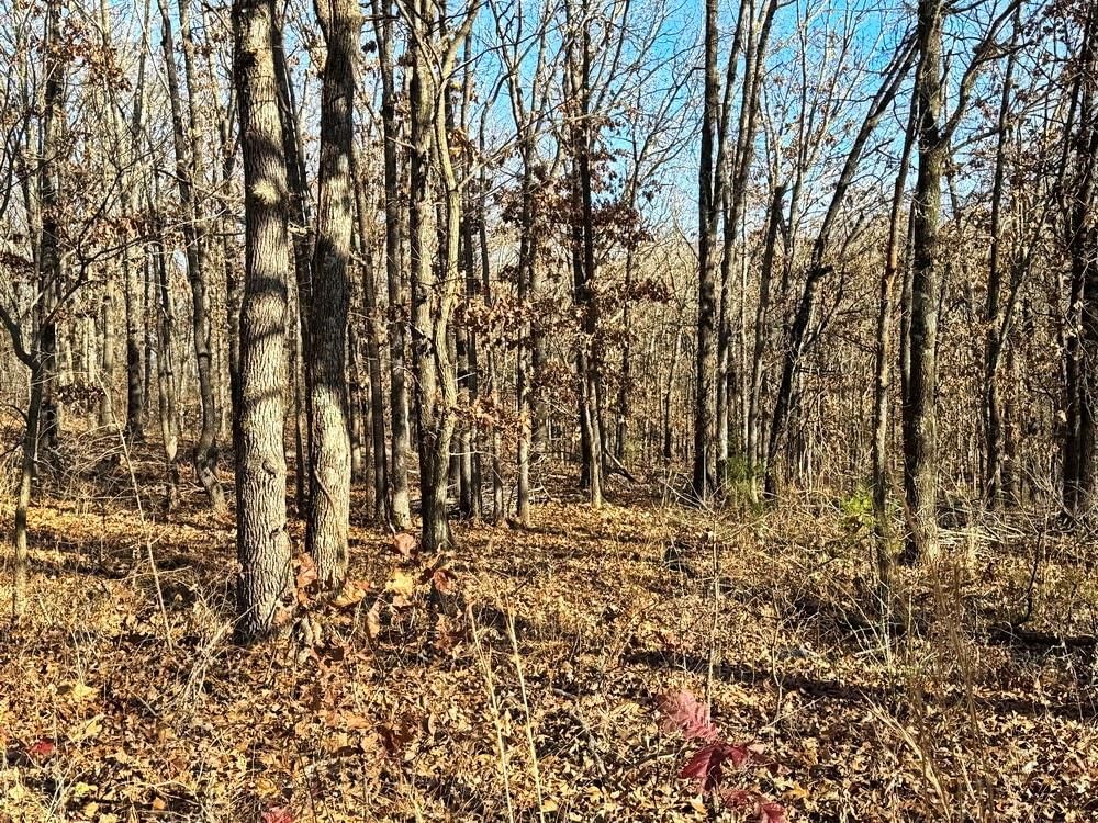 TBD E 1550 & S 425 Road — photo 19