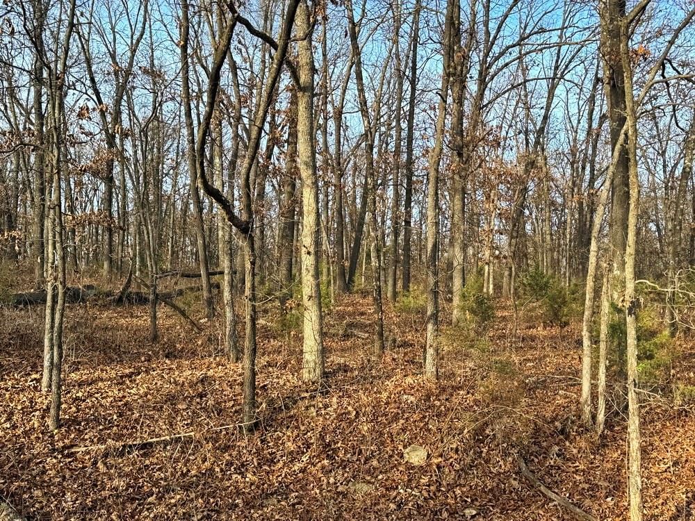 TBD E 1550 & S 425 Road — photo 22