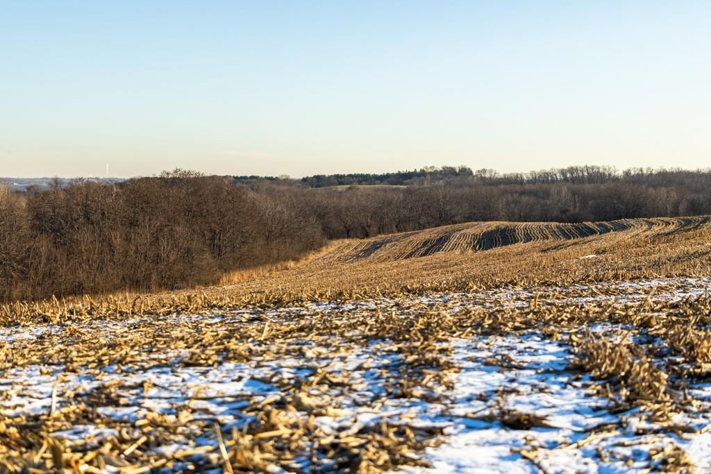14030 Ode Road — photo 42