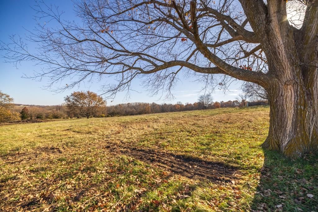 Tract 2 W Ryan Road — photo 10
