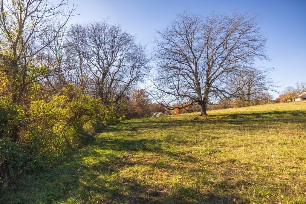 Tract 2 W Ryan Road — photo 17