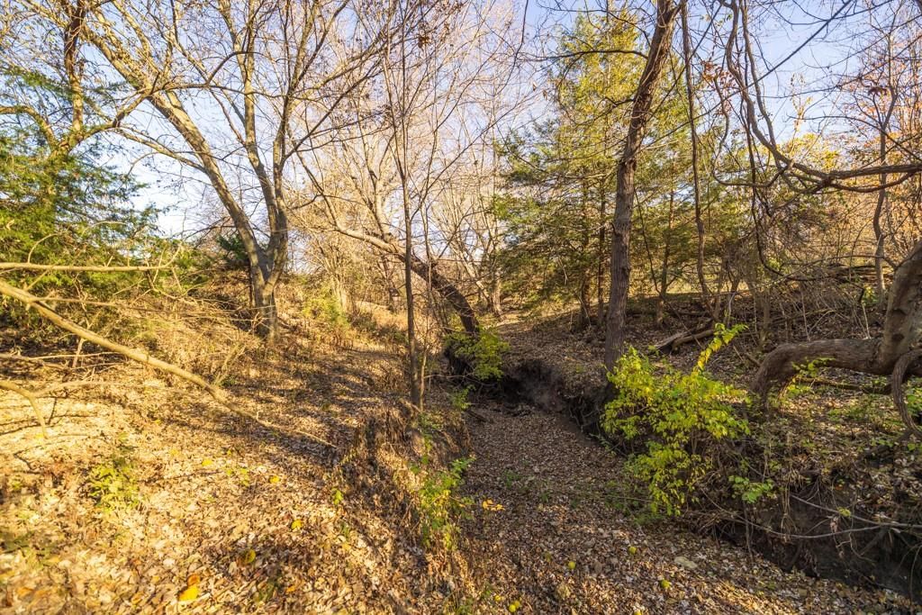 Tract 4 W Ryan Road — photo 19