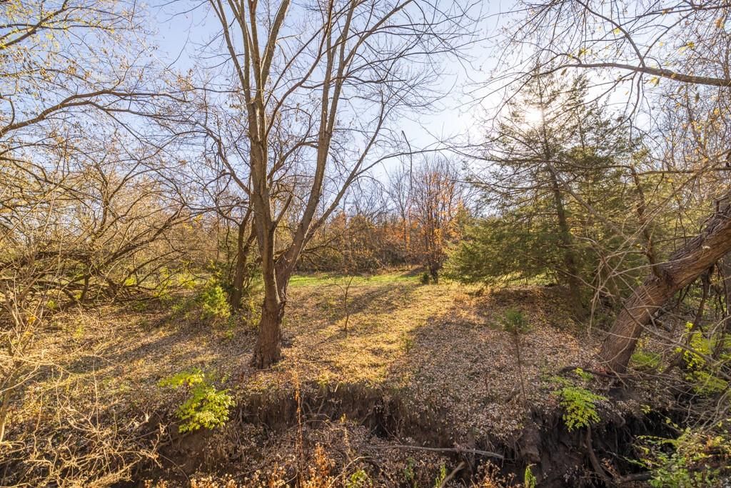 Tract 4 W Ryan Road — photo 20