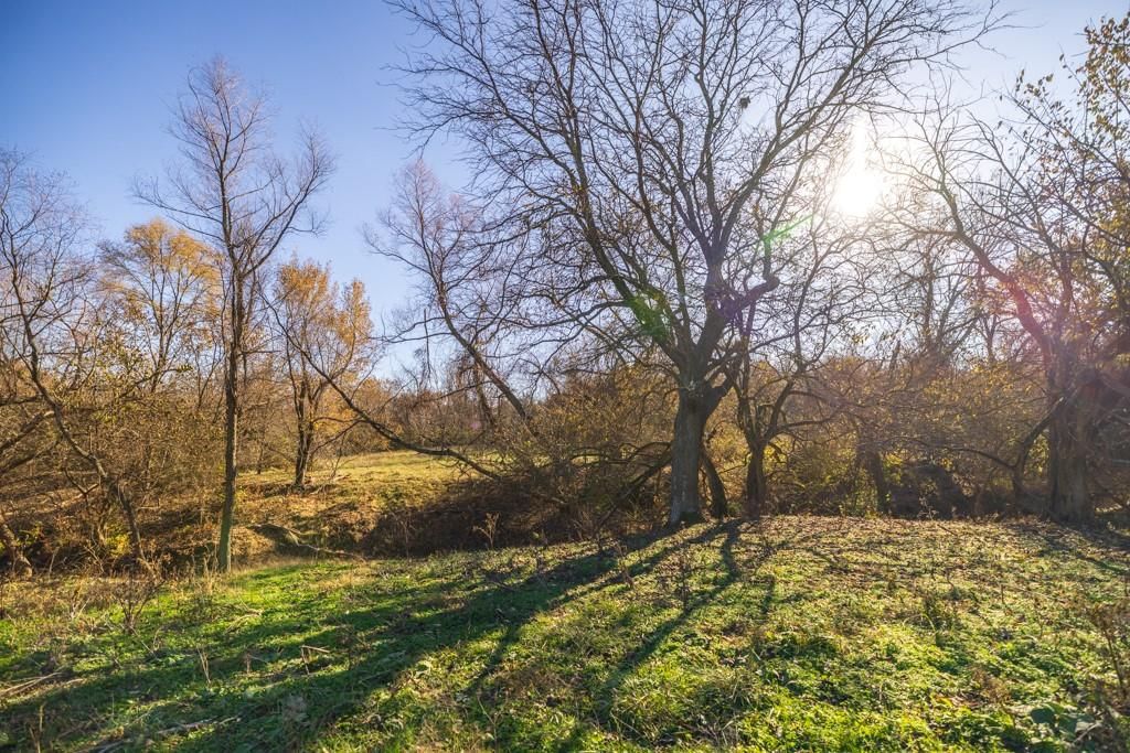 Tract 5 W Ryan Road — photo 17