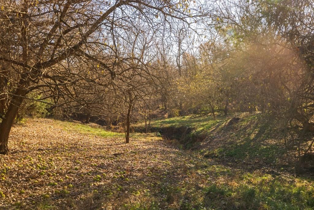 Tract 6 W Ryan Road — photo 15