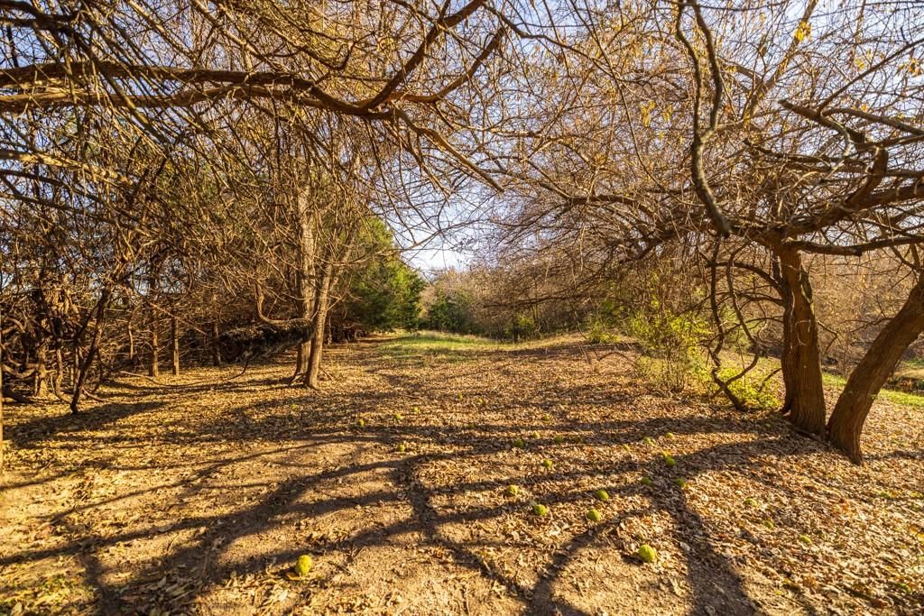 Tract 6 W Ryan Road — photo 16