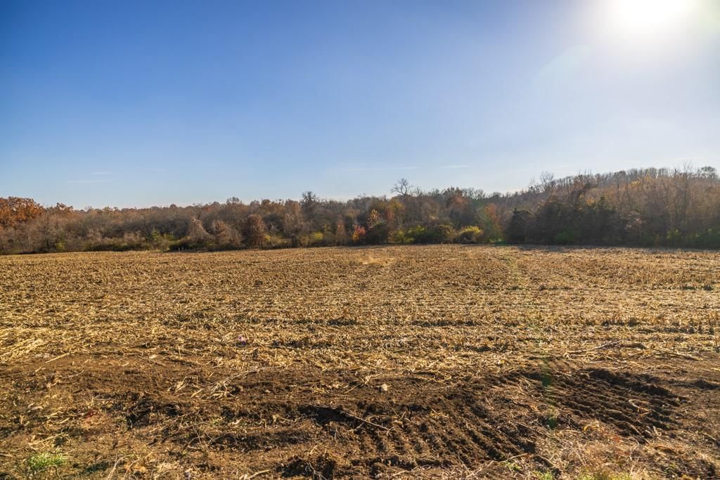 Tract 7 W Ryan Road — photo 11