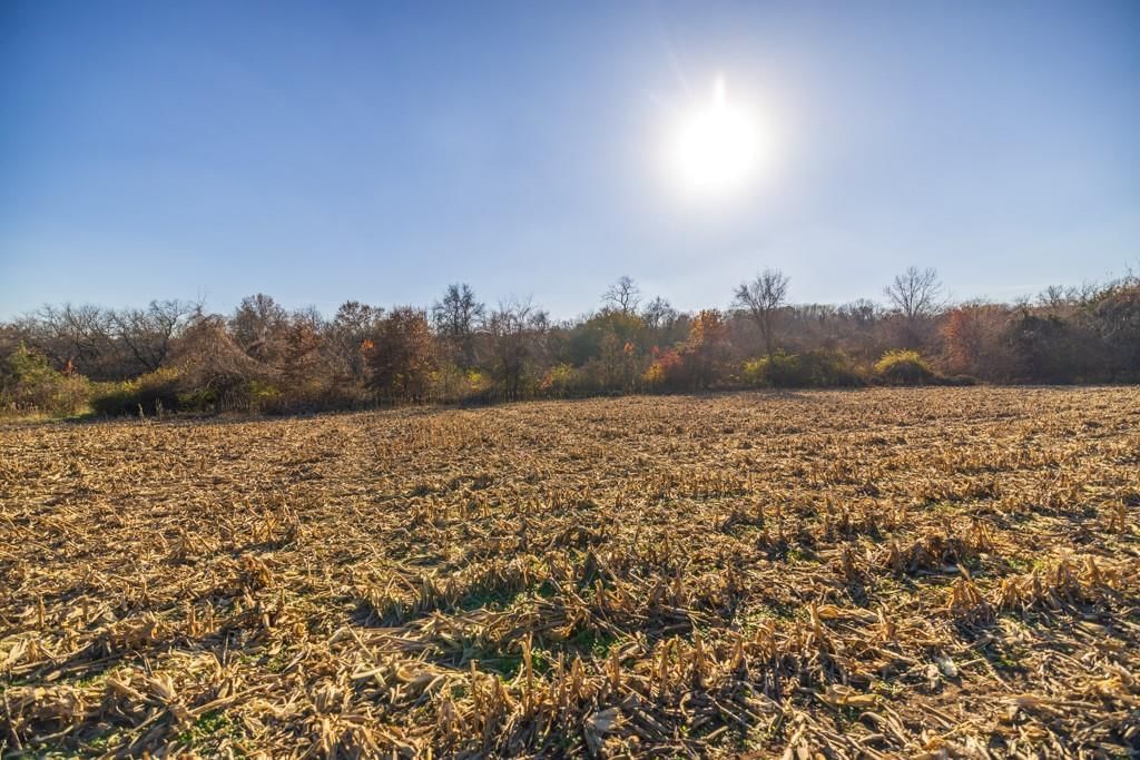 Tract 7 W Ryan Road — photo 18