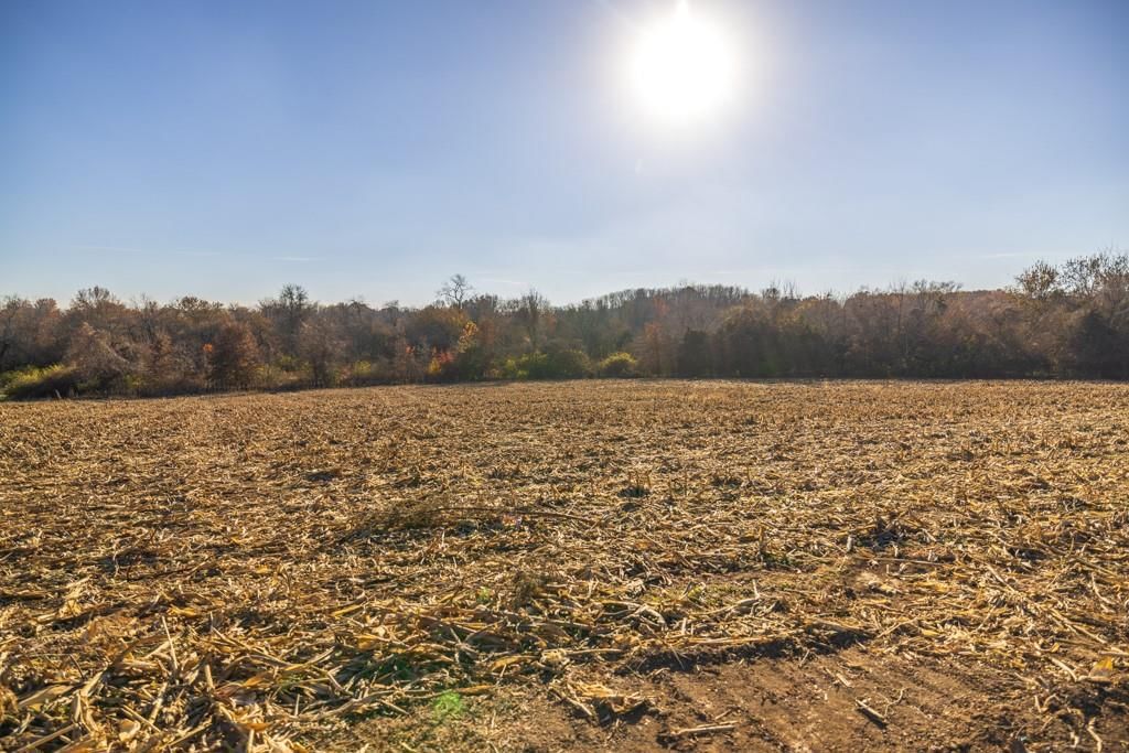 Tract 7 W Ryan Road — photo 19