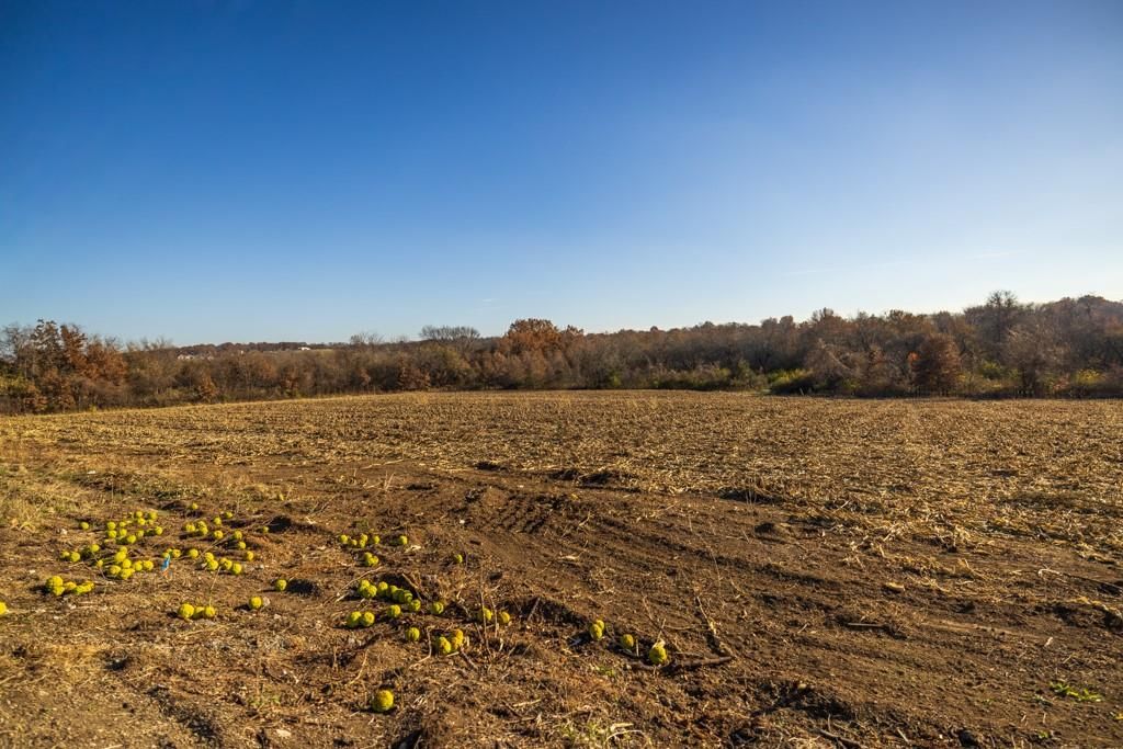 Tract 8 W Ryan Road — photo 12
