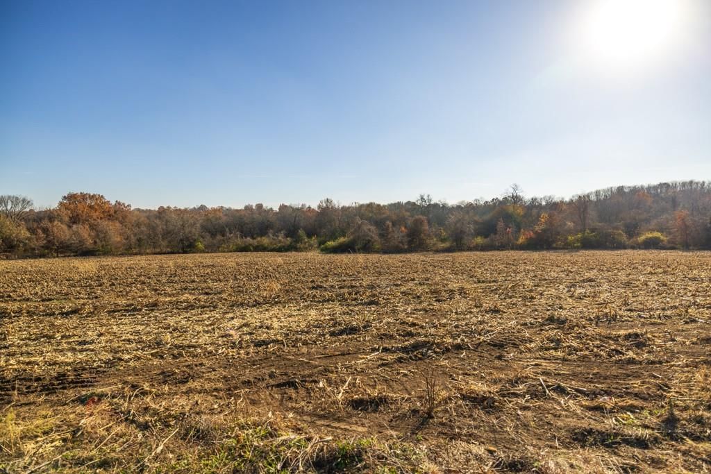 Tract 8 W Ryan Road — photo 13