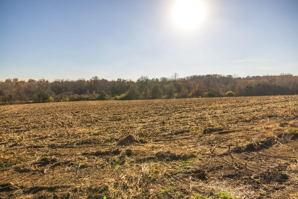 Tract 8 W Ryan Road — photo 21