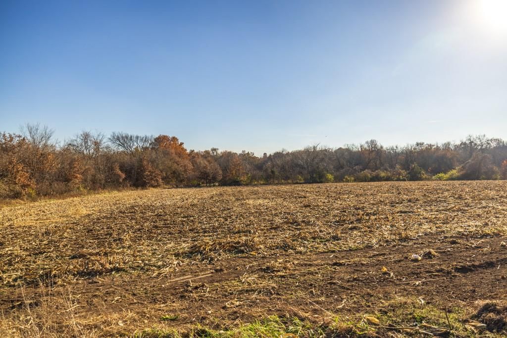 Tract 9 W Ryan Road — photo 14