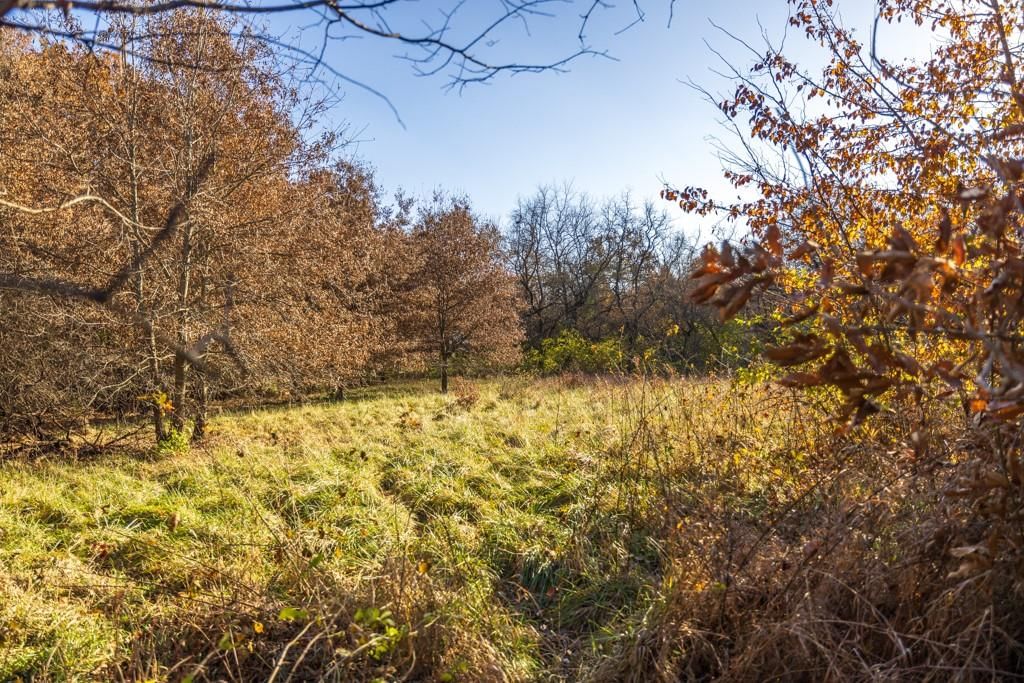 Tract 9 W Ryan Road — photo 19