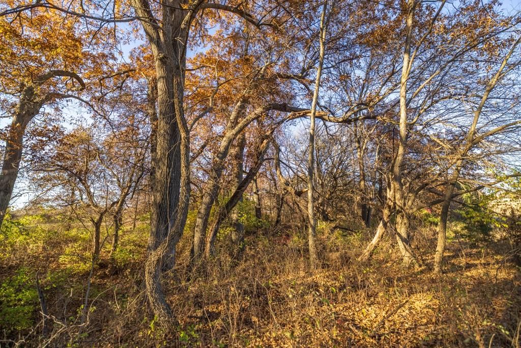 Tract 10 W Ryan Road — photo 15