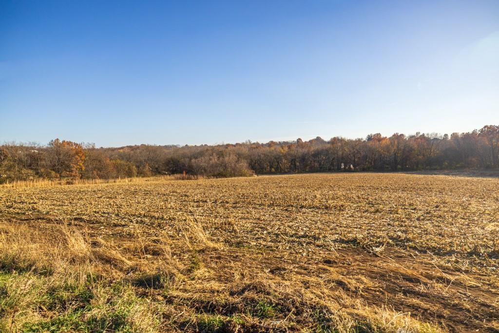 Tract 11 W Ryan Road — photo 9