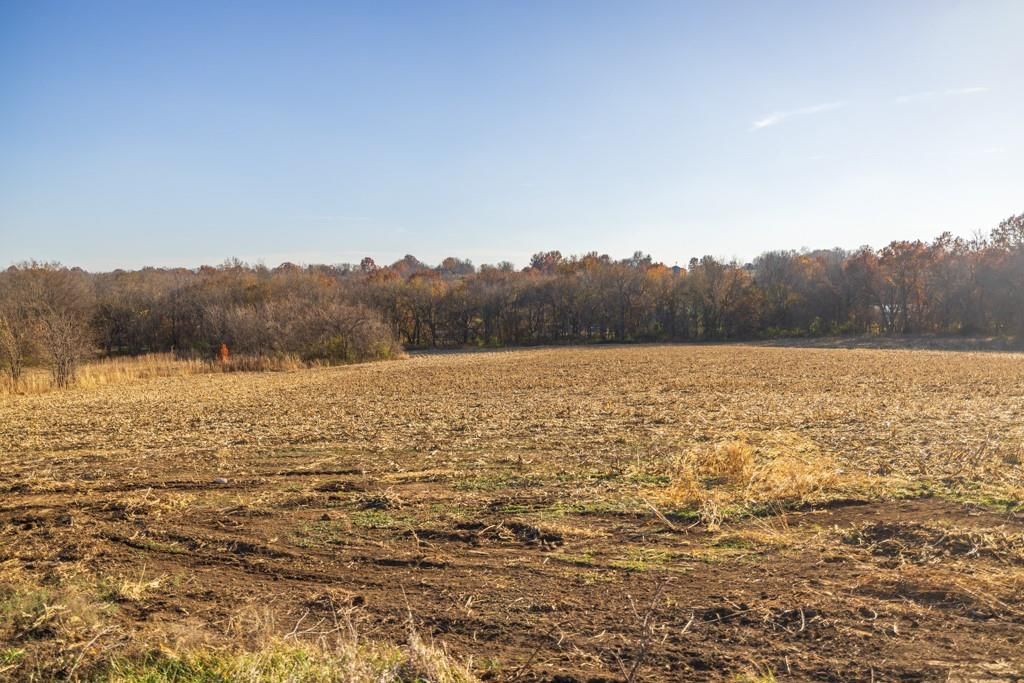 Tract 11 W Ryan Road — photo 10