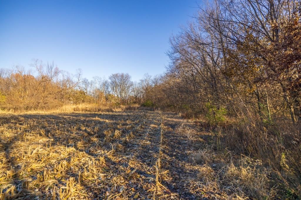 Tract 11 W Ryan Road — photo 13