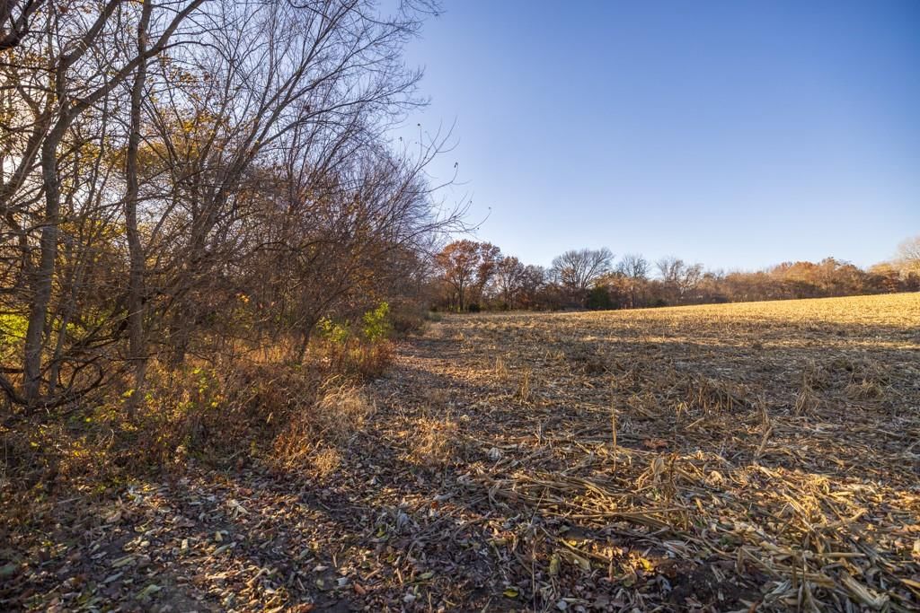 Tract 11 W Ryan Road — photo 16