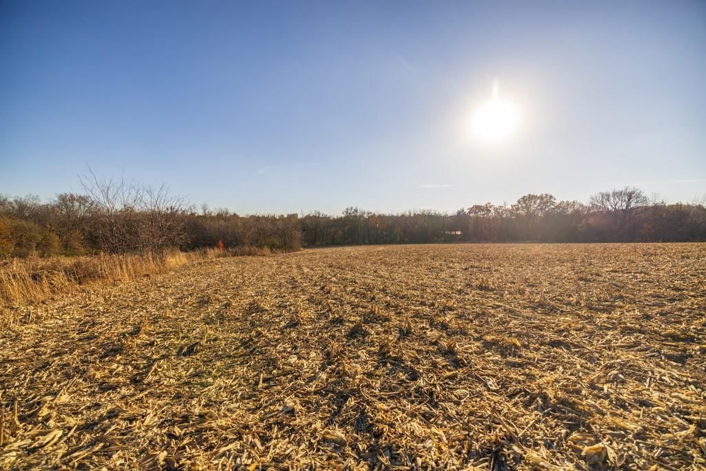 Tract 11 W Ryan Road — photo 18