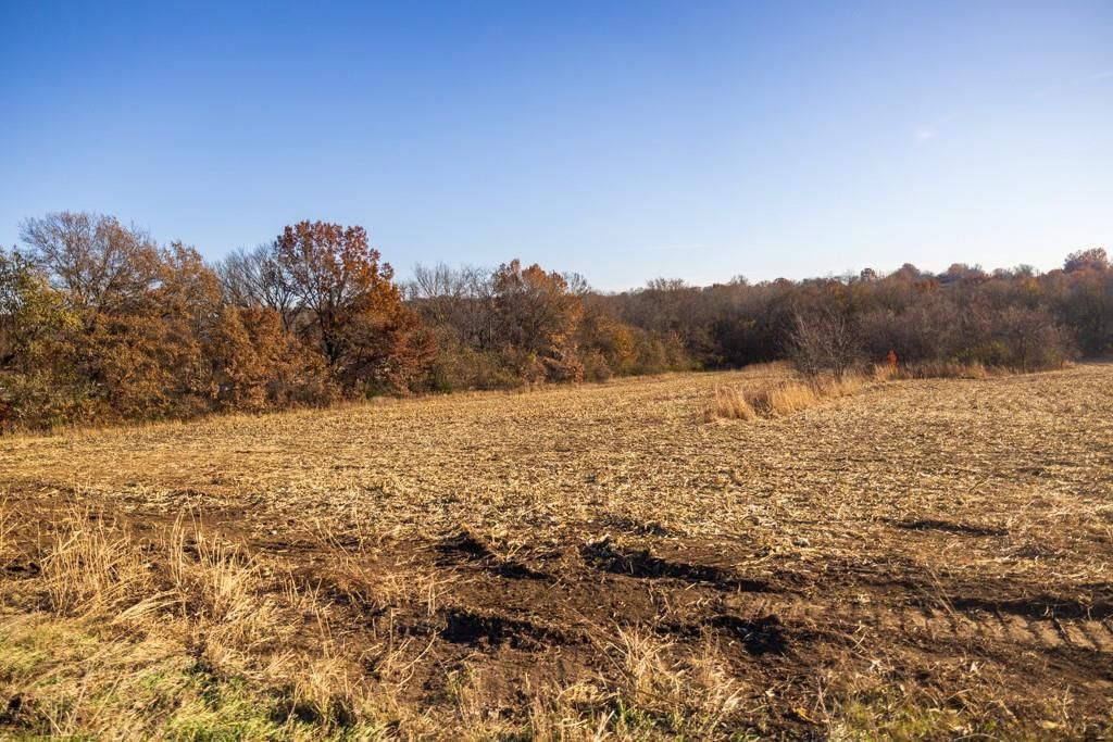 Tract 12 W Ryan Road — photo 10