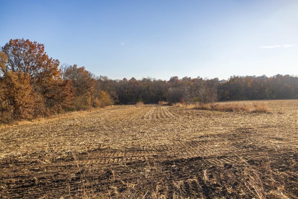 Tract 12 W Ryan Road — photo 11