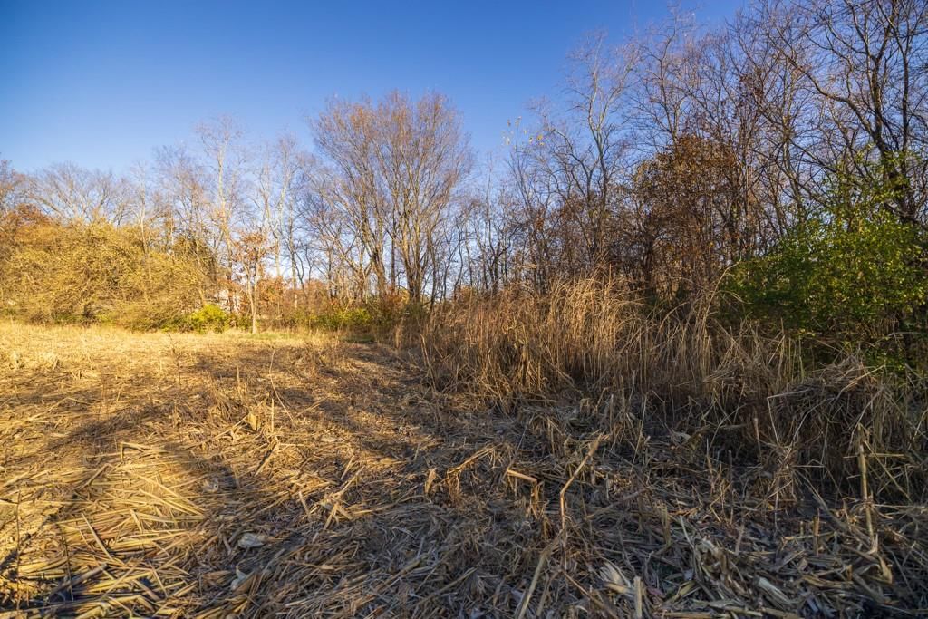 Tract 12 W Ryan Road — photo 15